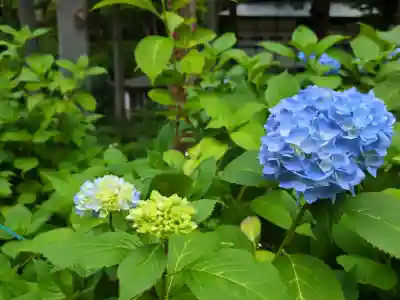 高林寺(福島県)