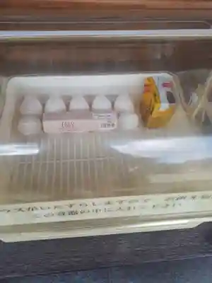 金蛇水神社の授与品その他