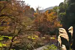 高龍神社(新潟県)