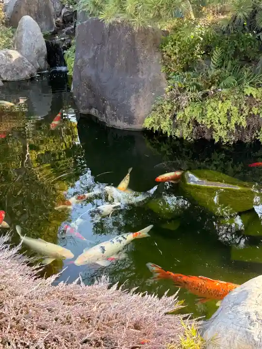 大蓮寺の{uncategorized: "未分類", other: "その他", undefined: "問題あり", building: "その他建物", grave: "お墓", sacred_gate: "鳥居", guardian: "狛犬", statue: "像", buddha: "仏像", history: "歴史", nature: "自然", garden: "庭園", animal: "動物", pagoda: "塔", temizu: "手水舎", mountain_gate: "山門・神門", sanctuary: "本殿・本堂", subordinate: "末社・摂社", art: "芸術", scenery: "景色", jizo: "地蔵", ema: "絵馬", goshuin: "御朱印", omikuji: "おみくじ", items: "授与品その他", amulet: "お守り", goshuincho: "御朱印帳", eats: "食事", festival: "お祭り", votive_dance: "神楽", shichigosan: "七五三参", wedding: "結婚式", experience: "体験その他", initially: "初詣", around: "周辺", anti_infection: "感染症対策"}