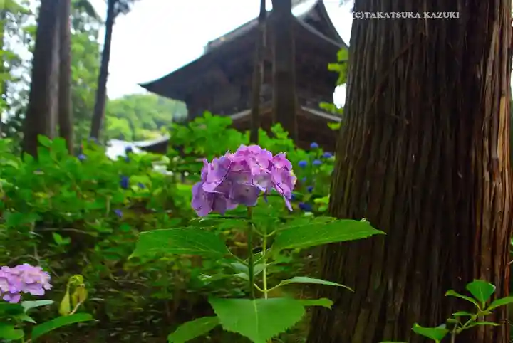 円覚寺(神奈川県)