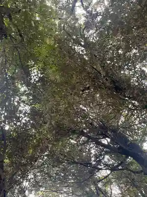 岩槻久伊豆神社(埼玉県)