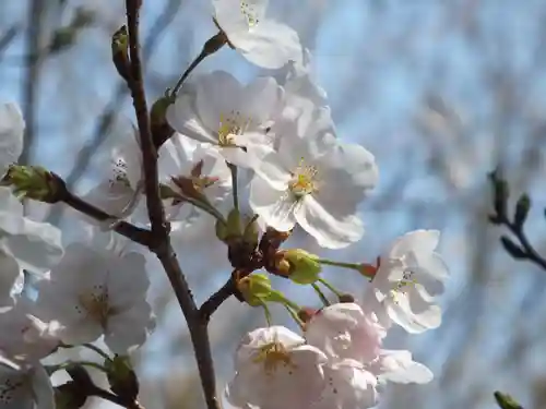 三上神社(滋賀県)