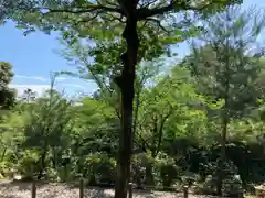 日岡神社の自然