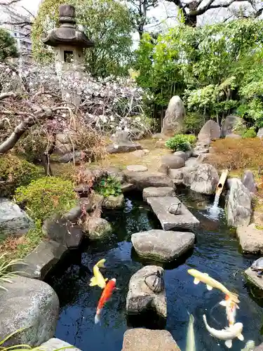 永平寺別院長谷寺の庭園