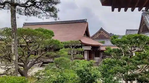 仁和寺の庭園