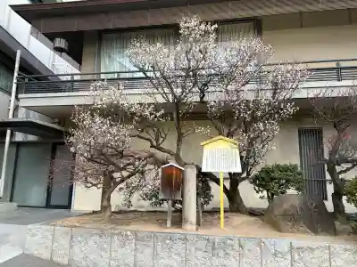 生田神社の{uncategorized: "未分類", other: "その他", undefined: "問題あり", building: "その他建物", grave: "お墓", sacred_gate: "鳥居", guardian: "狛犬", statue: "像", buddha: "仏像", history: "歴史", nature: "自然", garden: "庭園", animal: "動物", pagoda: "塔", temizu: "手水舎", mountain_gate: "山門・神門", sanctuary: "本殿・本堂", subordinate: "末社・摂社", art: "芸術", scenery: "景色", jizo: "地蔵", ema: "絵馬", goshuin: "御朱印", omikuji: "おみくじ", items: "授与品その他", amulet: "お守り", goshuincho: "御朱印帳", eats: "食事", festival: "お祭り", votive_dance: "神楽", shichigosan: "七五三参", wedding: "結婚式", experience: "体験その他", initially: "初詣", around: "周辺", anti_infection: "感染症対策"}