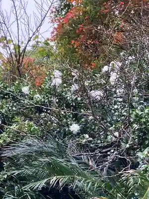 大山祇神社(福岡県)