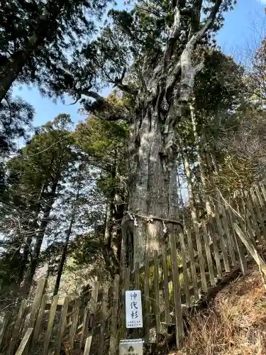 玉置神社の{uncategorized: "未分類", other: "その他", undefined: "問題あり", building: "その他建物", grave: "お墓", sacred_gate: "鳥居", guardian: "狛犬", statue: "像", buddha: "仏像", history: "歴史", nature: "自然", garden: "庭園", animal: "動物", pagoda: "塔", temizu: "手水舎", mountain_gate: "山門・神門", sanctuary: "本殿・本堂", subordinate: "末社・摂社", art: "芸術", scenery: "景色", jizo: "地蔵", ema: "絵馬", goshuin: "御朱印", omikuji: "おみくじ", items: "授与品その他", amulet: "お守り", goshuincho: "御朱印帳", eats: "食事", festival: "お祭り", votive_dance: "神楽", shichigosan: "七五三参", wedding: "結婚式", experience: "体験その他", initially: "初詣", around: "周辺", anti_infection: "感染症対策"}