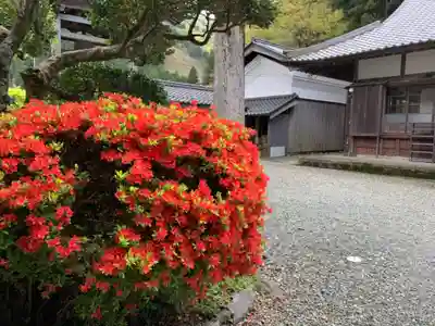 覚成寺(福井県)