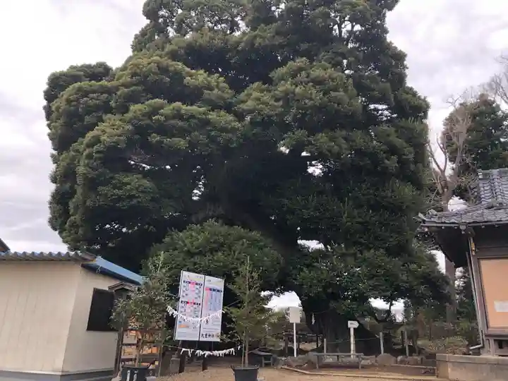 九重神社の自然