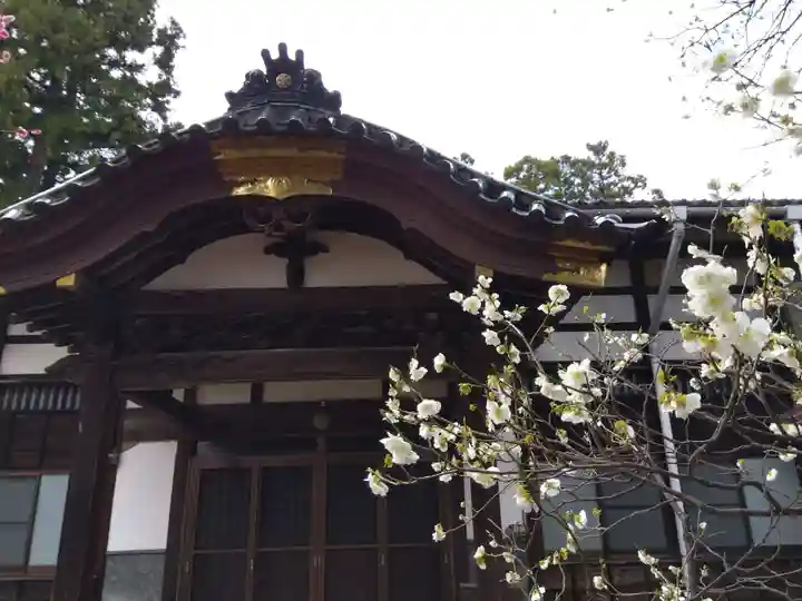 来迎寺(新潟県)