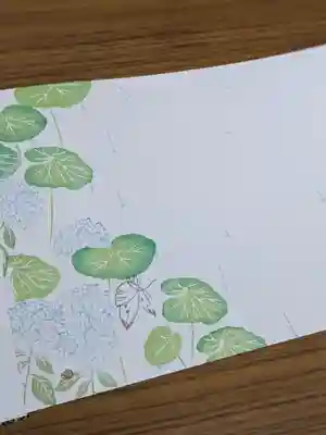 蝶がフキノトウの葉っぱで雨宿り中