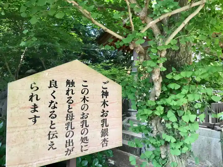 大宝八幡宮(茨城県)
