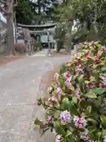 田端神社(東京都)