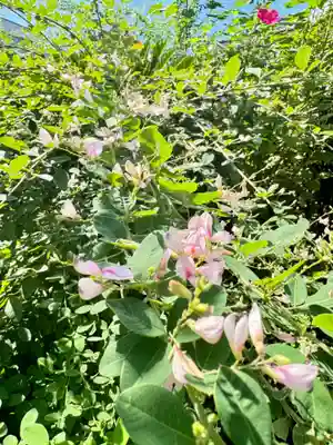 勝念寺（かましきさん）(京都府)