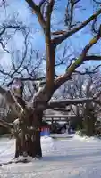 相馬神社(北海道)