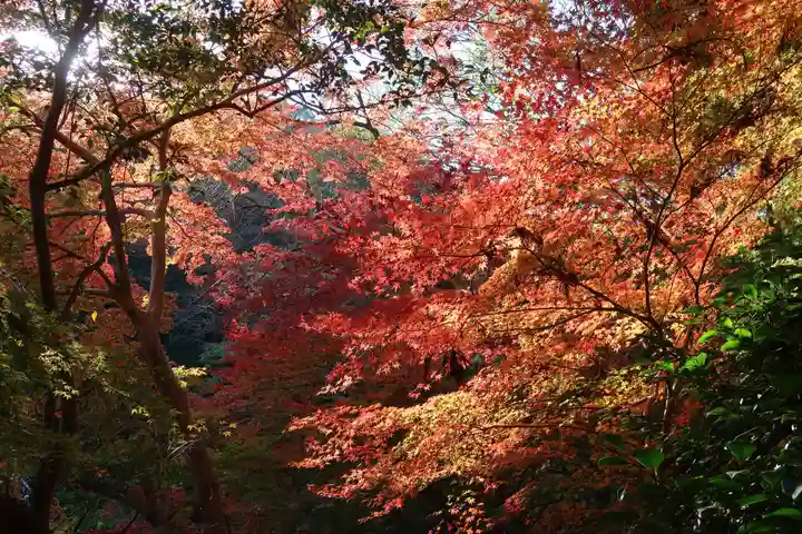 神應寺(京都府)
