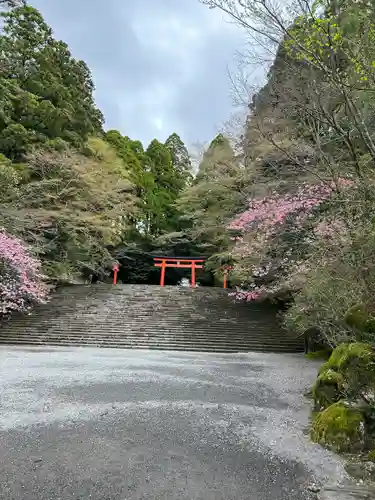 霧島神宮の鳥居