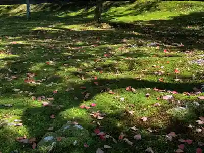 東福禅寺(東福寺)(京都府)