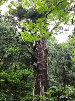 寳光院(新潟県)