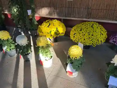 笠間稲荷神社(茨城県)