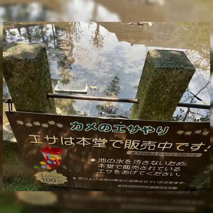 笠覆寺 (笠寺観音)の自然