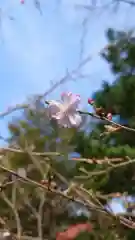 相馬神社(北海道)