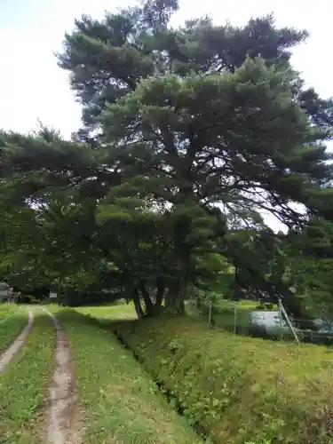 壽徳寺 じゅとくじ(福島県)