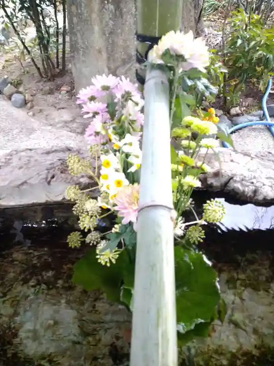 阿智神社の手水舎