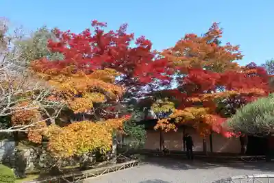 二尊院(京都府)