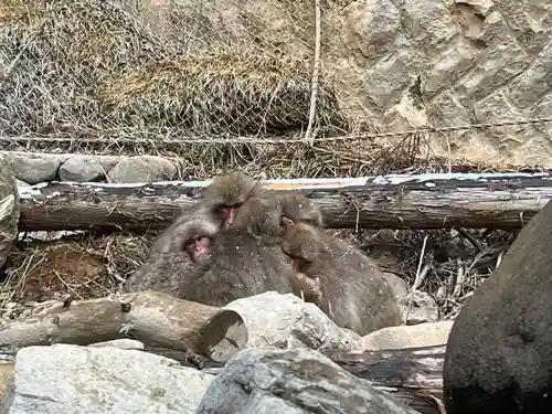 上林不動尊(長野県)