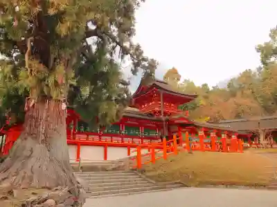 春日大社(奈良県)