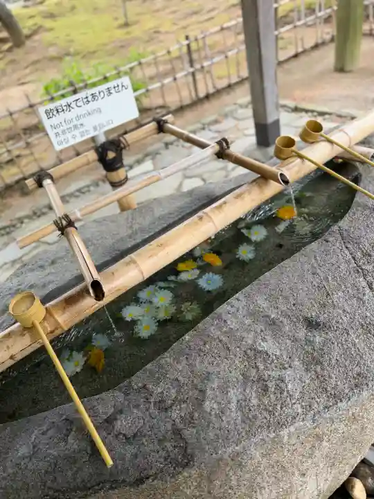 毛越寺(岩手県)