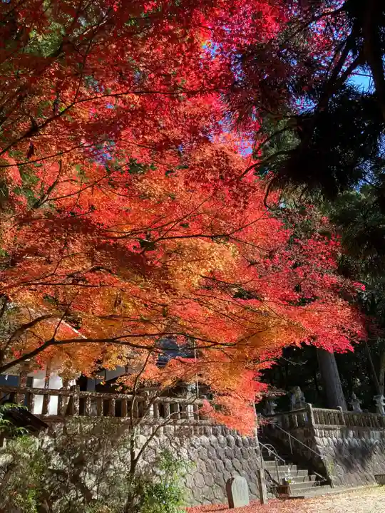 八王子神社の自然