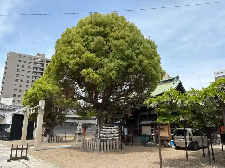 中道八阪神社(大阪府)