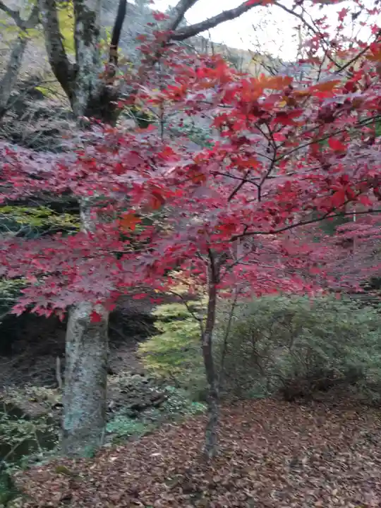 大山寺(神奈川県)