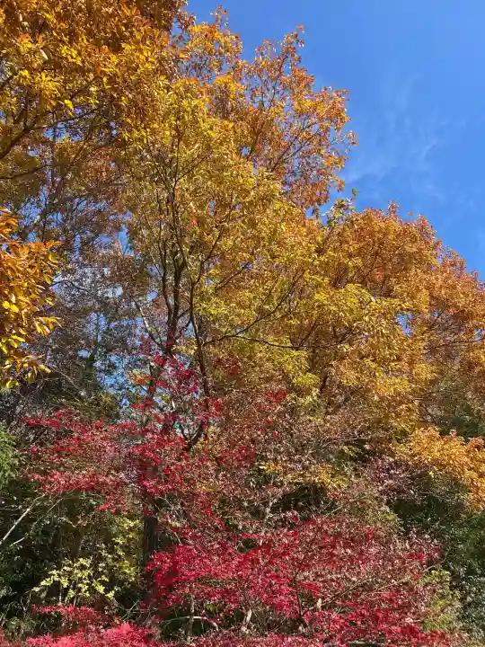 御霊神社(兵庫県)
