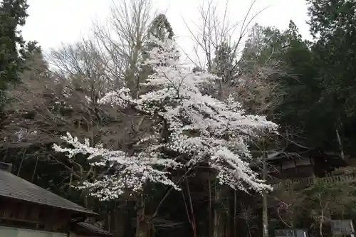 秩父若御子神社の庭園