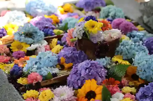 豊平神社の手水