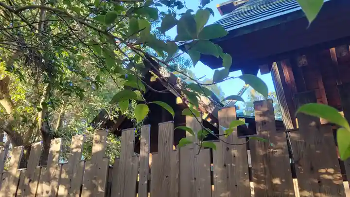 東雲神社(愛媛県)