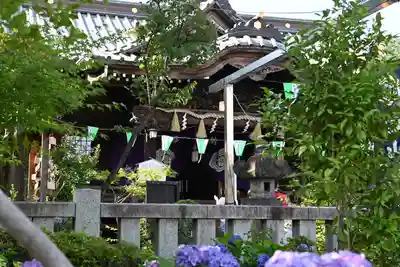 白山神社(東京都)