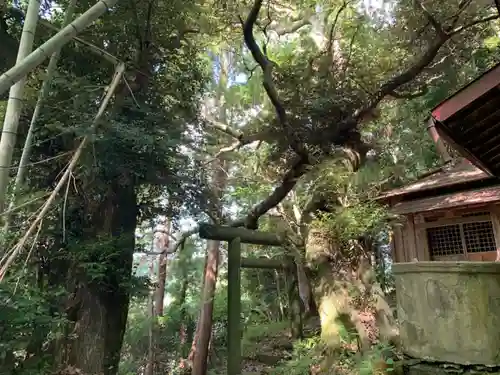 稲荷神社のその他建物