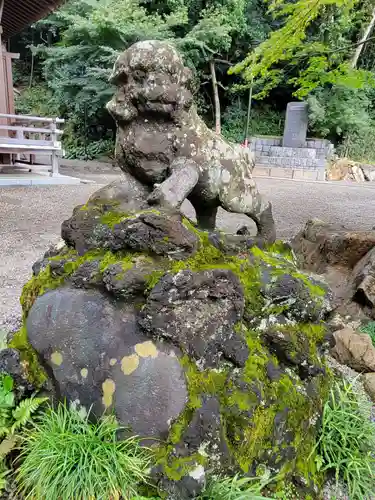 貫井神社の狛犬