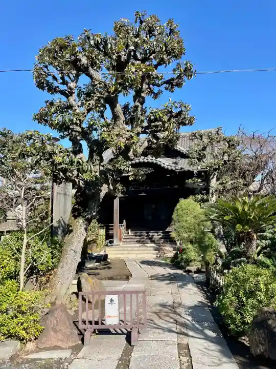 浄正寺の{uncategorized: "未分類", other: "その他", undefined: "問題あり", building: "その他建物", grave: "お墓", sacred_gate: "鳥居", guardian: "狛犬", statue: "像", buddha: "仏像", history: "歴史", nature: "自然", garden: "庭園", animal: "動物", pagoda: "塔", temizu: "手水舎", mountain_gate: "山門・神門", sanctuary: "本殿・本堂", subordinate: "末社・摂社", art: "芸術", scenery: "景色", jizo: "地蔵", ema: "絵馬", goshuin: "御朱印", omikuji: "おみくじ", items: "授与品その他", amulet: "お守り", goshuincho: "御朱印帳", eats: "食事", festival: "お祭り", votive_dance: "神楽", shichigosan: "七五三参", wedding: "結婚式", experience: "体験その他", initially: "初詣", around: "周辺", anti_infection: "感染症対策"}