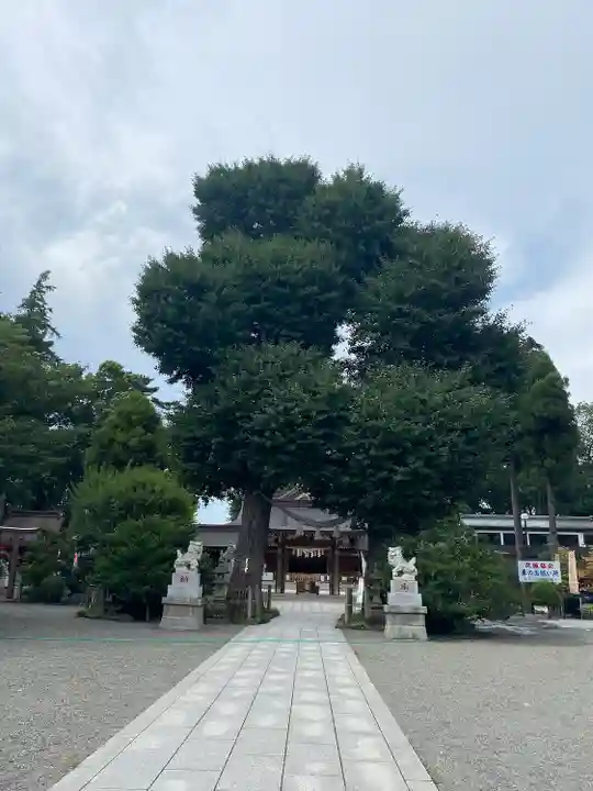 亀ケ池八幡宮のその他建物