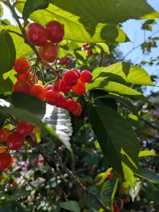 今戸神社(東京都)