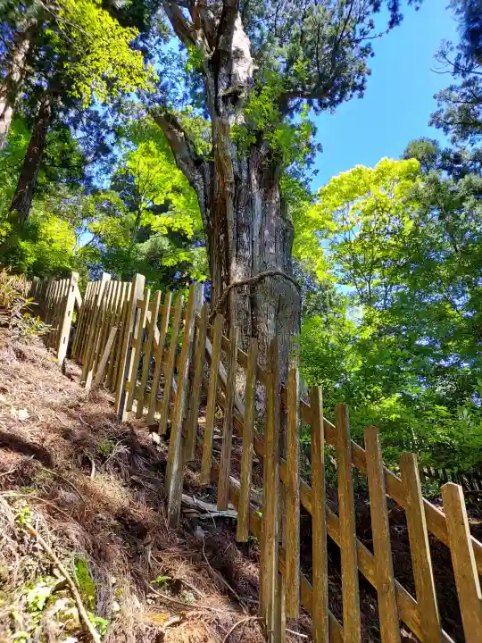 玉置神社の{uncategorized: "未分類", other: "その他", undefined: "問題あり", building: "その他建物", grave: "お墓", sacred_gate: "鳥居", guardian: "狛犬", statue: "像", buddha: "仏像", history: "歴史", nature: "自然", garden: "庭園", animal: "動物", pagoda: "塔", temizu: "手水舎", mountain_gate: "山門・神門", sanctuary: "本殿・本堂", subordinate: "末社・摂社", art: "芸術", scenery: "景色", jizo: "地蔵", ema: "絵馬", goshuin: "御朱印", omikuji: "おみくじ", items: "授与品その他", amulet: "お守り", goshuincho: "御朱印帳", eats: "食事", festival: "お祭り", votive_dance: "神楽", shichigosan: "七五三参", wedding: "結婚式", experience: "体験その他", initially: "初詣", around: "周辺", anti_infection: "感染症対策"}