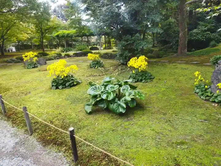 城南宮(京都府)