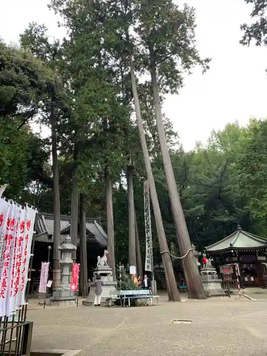豊川閣 妙厳寺(愛知県)
